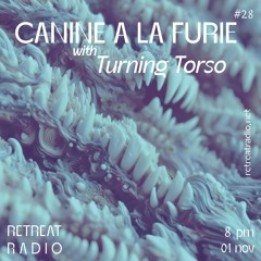 Canine à la furie #28 w/ Turning Torso (01/11/23)