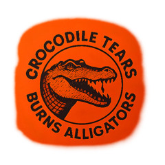 PLEASE DON'T GO | #CROCODILETEARSBURNSALLIGATORS