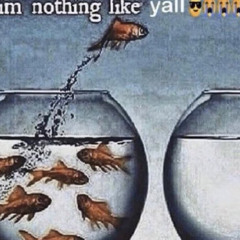 NANA✧kuroma - Stray