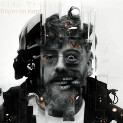 bilder im Kopf - Sido Trbute