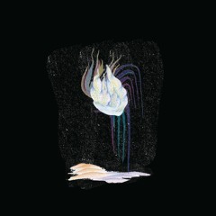 Le Frère Du Ciel - Cosmos