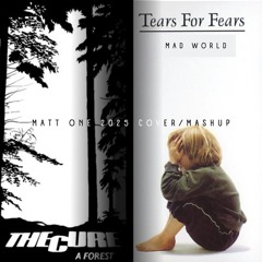 Tears For Fears & The Cure - Mad World / A Forest  ( Matt One 2025 cover/mashup)