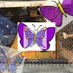 Butterfly Cocoon