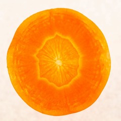 nFk & E.C. - Have You Seen This?