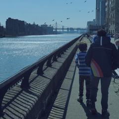 Starter Kit: Principles Update