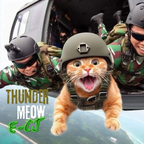 Thunder Meow