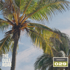 Session 029