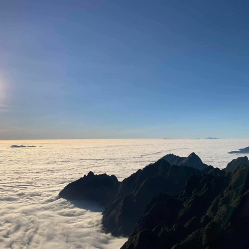 TH - Dap An Cua Ban Ft S - Lex