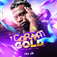 CARNAGOLD 001 - SÓ BEAT SERIE GOLD NA SUA MENTE  ( DJ FB DE NITEROI )