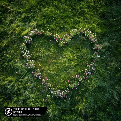 Stream Kolya Funk, PHURS, Catching Sunrises - You're My Heart, You're My  Soul by Kolya Funk | Listen online for free on SoundCloud