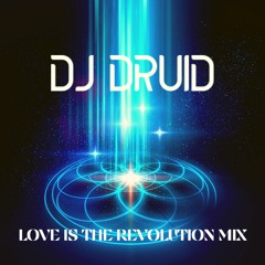 DJ Druid - Love Is The Revolution Mix