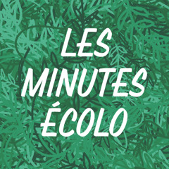 Les minutes écolos avec le CPIE- Les associations de plantes et le permaculture