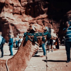 Trap X Rap | Type Beat | Trap Lord of the Rings