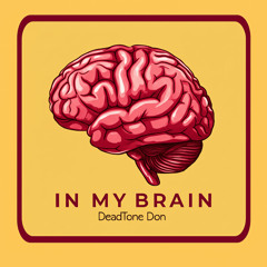 In My Brain
