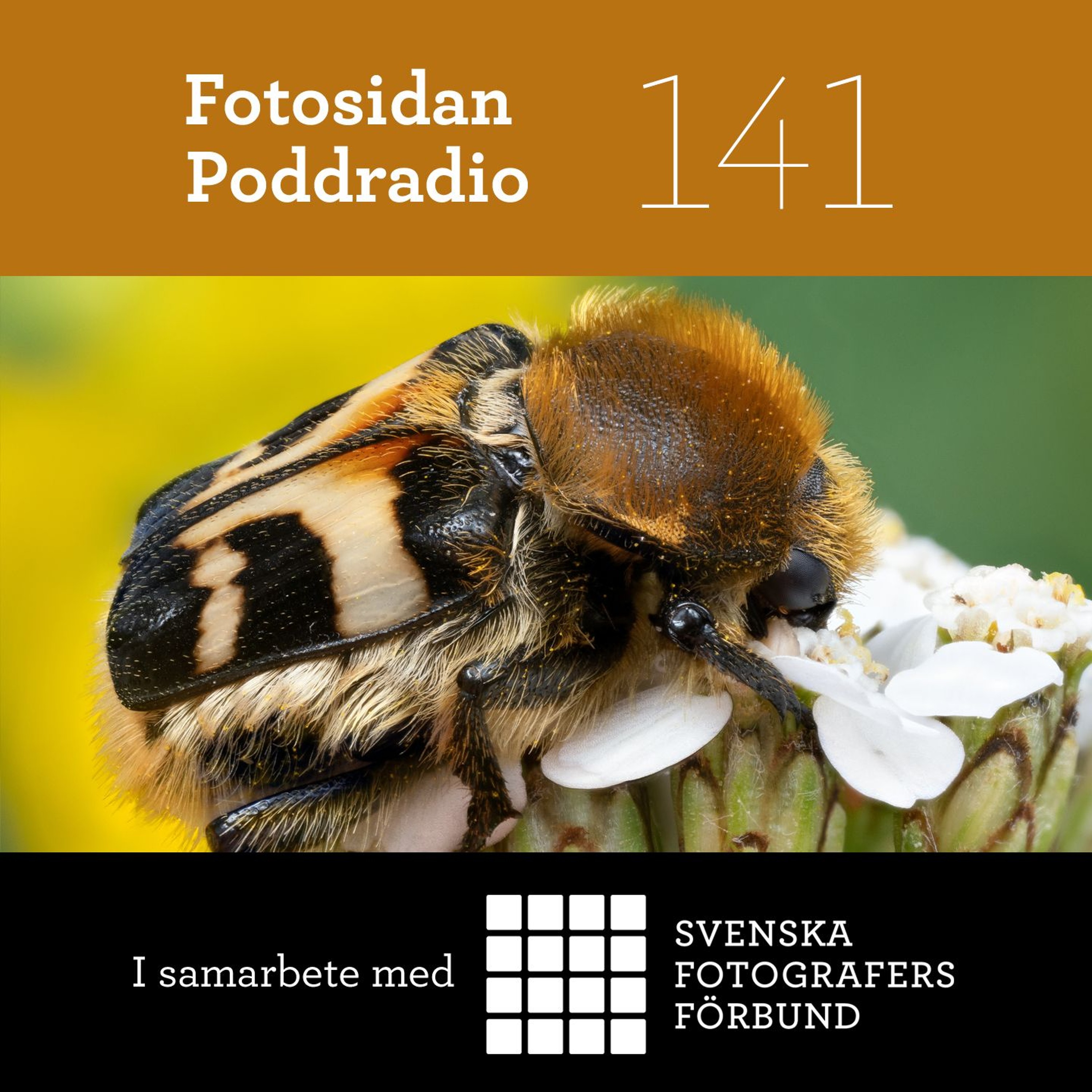 Fotosidan Poddradio