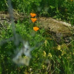 Free Float // A Change In Cadence (Prod neverforever)