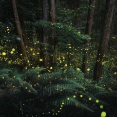 Как все идет - kizaru (Lofi remix by Inownlove)