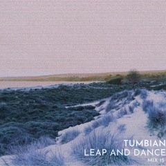 Leap & Dance Mix 15