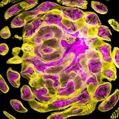 Sitar y sintetizadores; Prueba V2; 19-08-2024