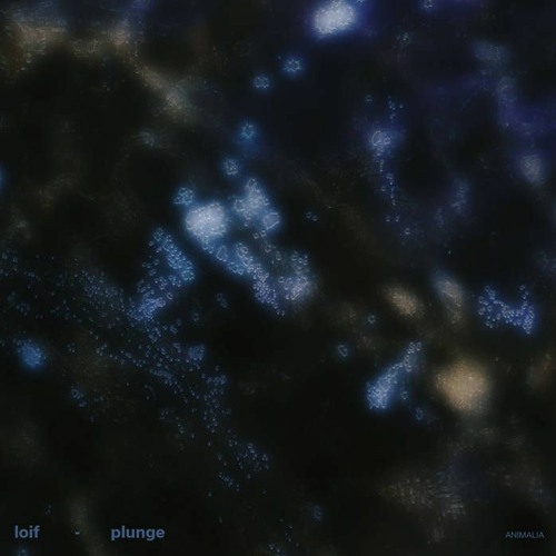 pi pi pi premiere: LOIF - Depth Charge (Animalia)