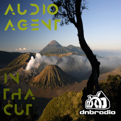 Audio Agent LIVE on DNBRADIO - In Tha Cut 120