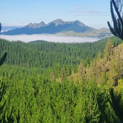 #TebaraVibes  Tale Na Ua Ni Loka 2025 🔥 🔥