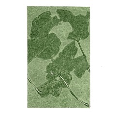 wild woods -acoustic