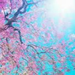 Billie Eillish - No Time To Die Cover by Arie