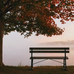 A Novo Amor Playlist | couldn't heal because I kept pretending I wasn't hurt.