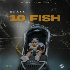 Knaxx - 10 Fish (10Tik Diss)