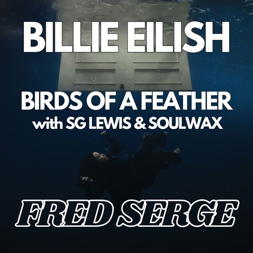 Billie Eilish - BIRDS OF A FEATHER (Fred Serge Remix) with SG Lewis and Soulwax