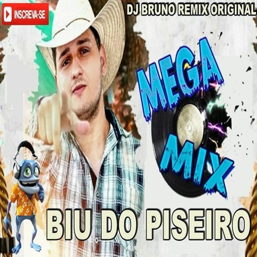 BIU DO PISEIRO FUNK MEGA MIX DJ BRUNO REMIX ORIGINAL