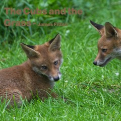 The Cubs and the Grass