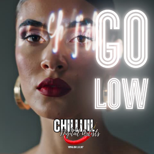 GO LOW - something between house and madness