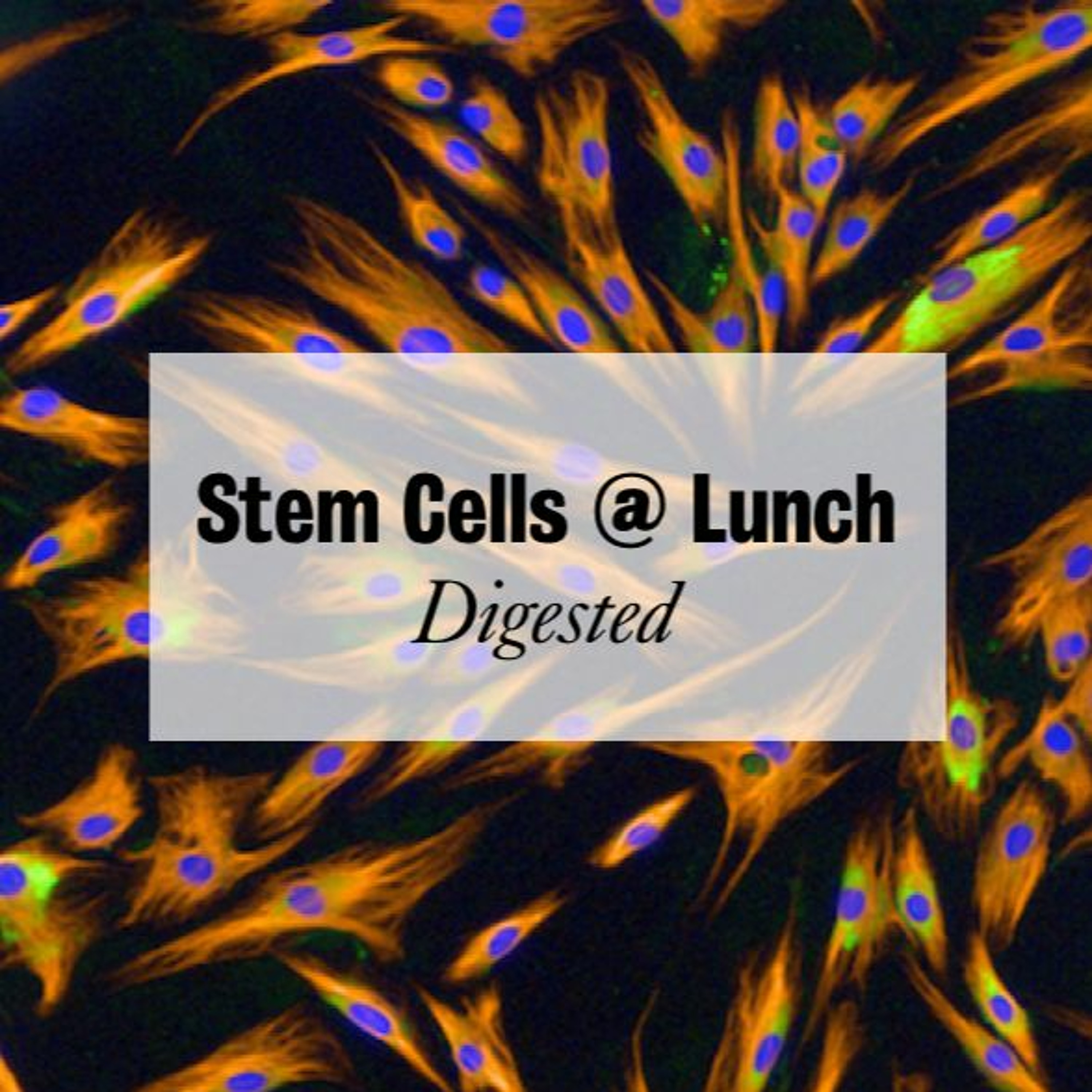 StemCells@Lunch Digested