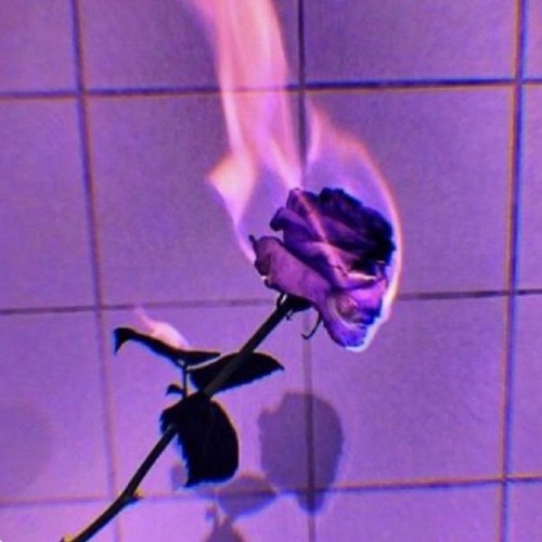 💜 felt cute might delete later...
