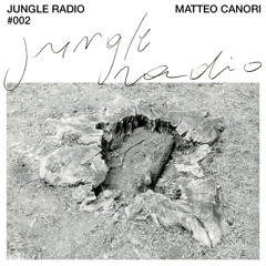 Jungle Radio #002: Matteo Canori