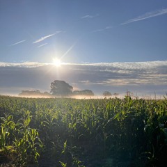 Tribe Of Frog dj competition entry