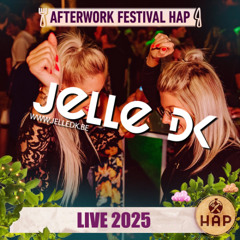 Live at Hap Afterwork festival