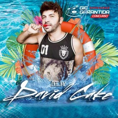 DJ DAVID CAKE - CONCURSO GIG GARANTIDA - TEMA POOL PARTY