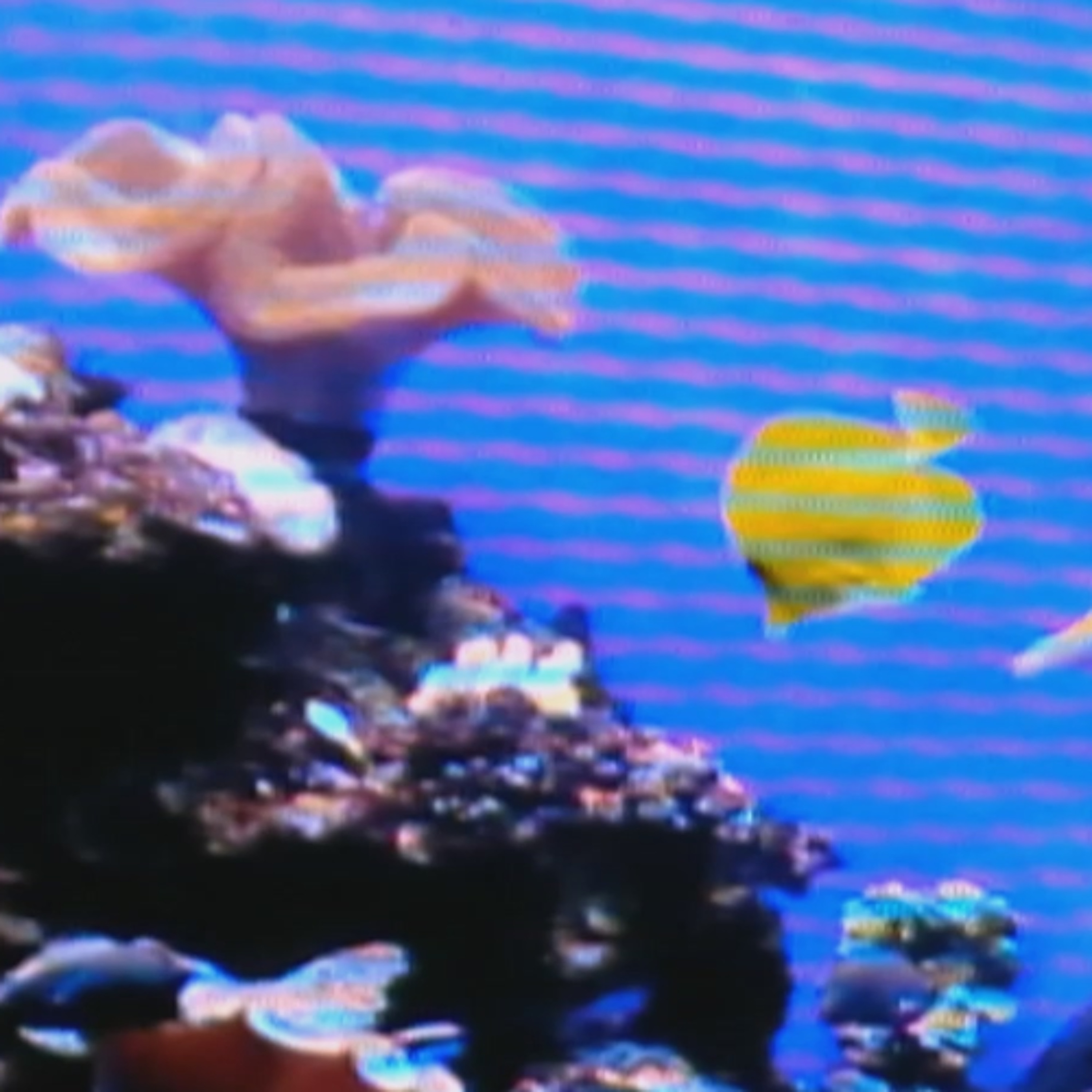 Aquarium episode artwork