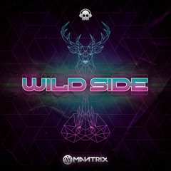 Wild Side (Original Mix)