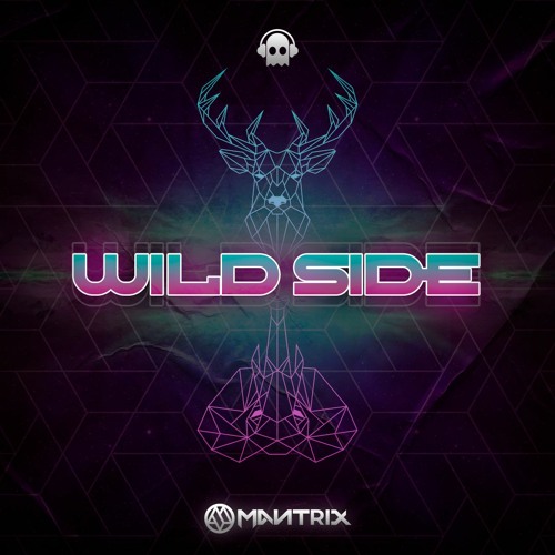 Wild Side (Original Mix)