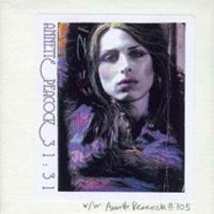 Annette Peacock - Behind The Beat