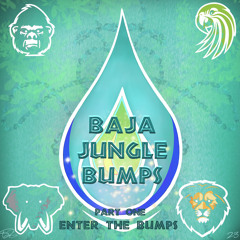 Baja Jungle Bumps Mix Part 1 (Enter The Bumps)