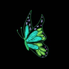 Parvaneh (Poem in Farsi)