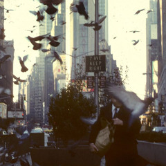 see the city (prod. ZACKI or @2400zacki)