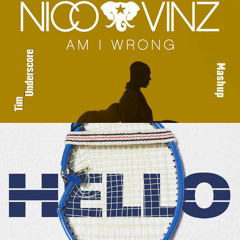 Am I Wrong x Hello (Tim Underscore Mashup) (Preview)