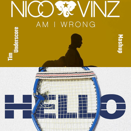 Am I Wrong x Hello (Tim Underscore Mashup) (Preview)