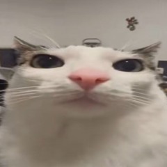 ROBLOX LOUD BYPASSED RUSSIAN PHONK AUDIO COLLAB ULTRA MEGA RARE SUPER RARE LOUD